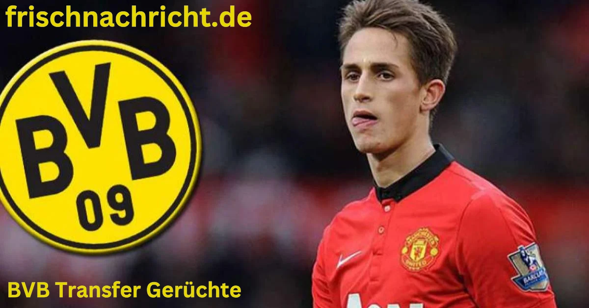 BVB Transfer Gerüchte
