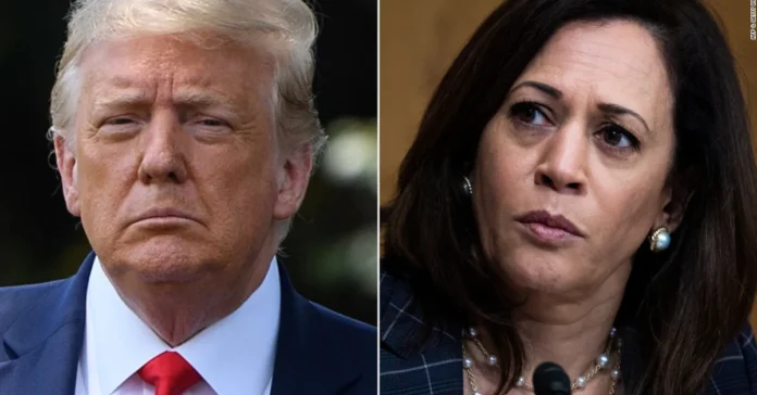 Kamala Harris Donald Trump Umfragen